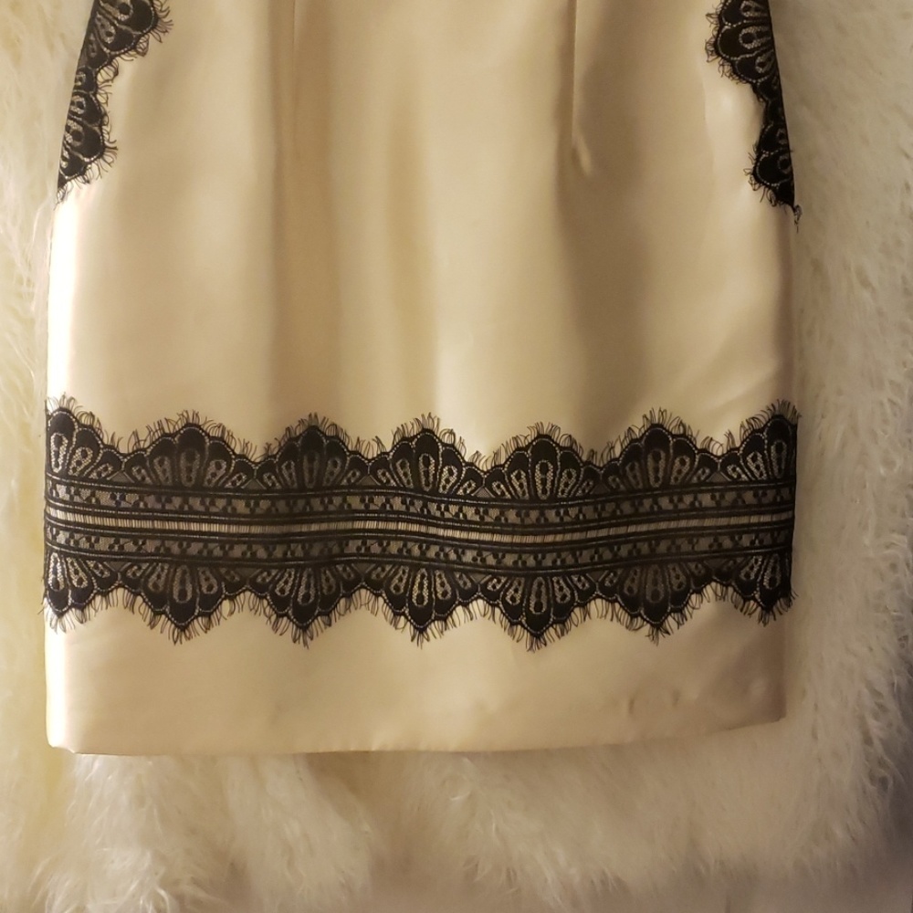 ANTONIO MELANI  chic champagne dress w/black lace - Picture 3 of 4